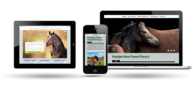 Kantjes Newforest Ponies  by Webdesign Maastricht